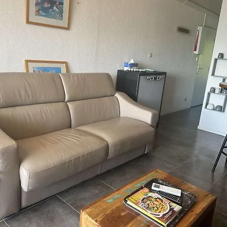 Apartment 2 Pieces Ensoleille, Vue Sur Port, Proche - Cap D'agde - Fr-1-249-437
